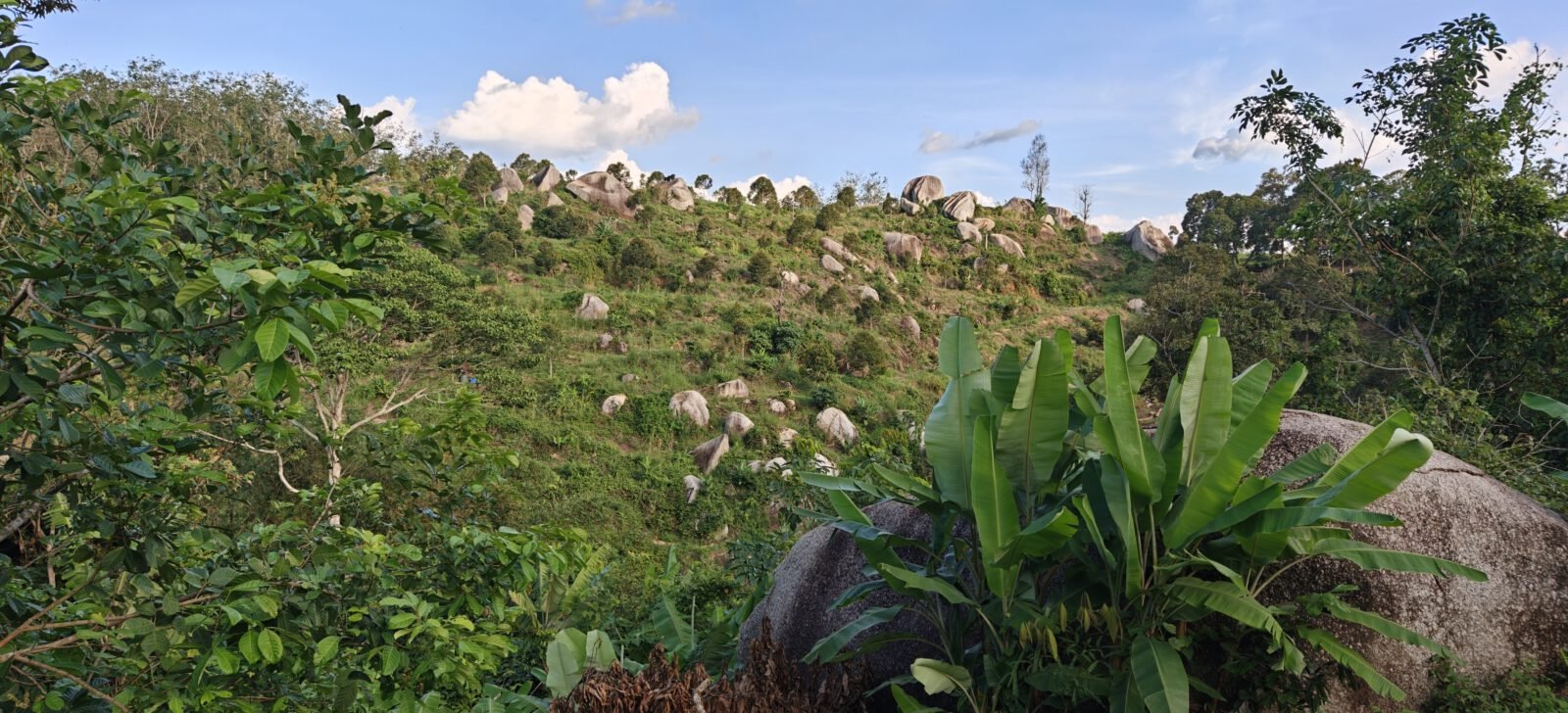 Artificial Intelligence AI - Künstliche Intelligenz KI